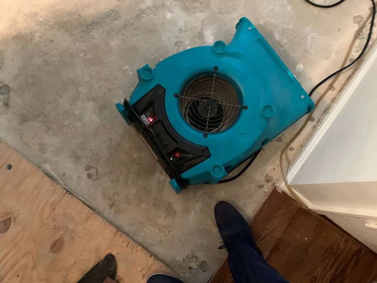 Air mover drying subfloor during Leak Detection & Repair in Old Fig Garden